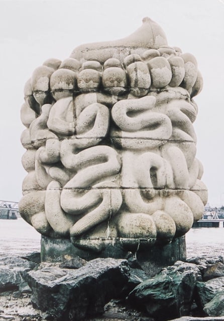 Le pied, le pull-over et le systeme digestif