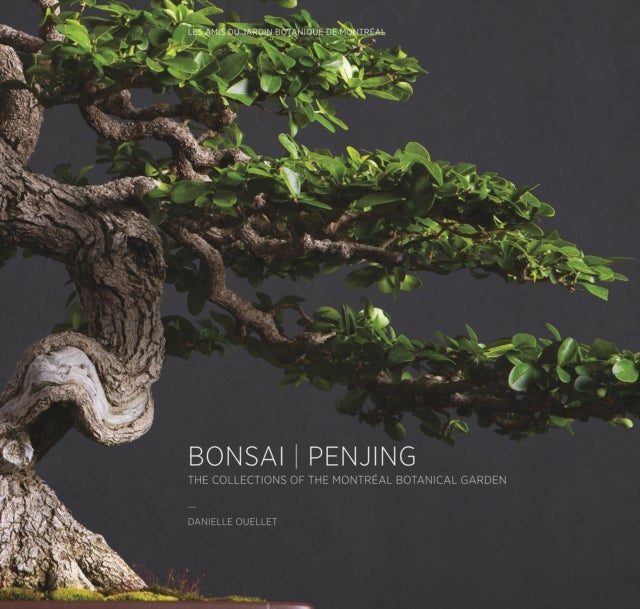 Bonsai / Penjing - The Collections of the Montreal Botanitcal Garden