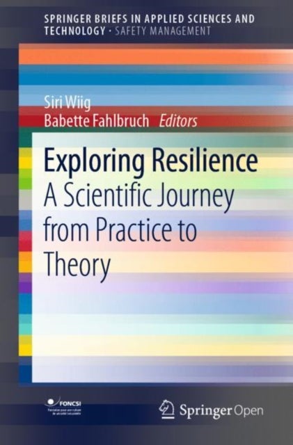 Exploring Resilience - A Scientific Journey from Practice to Theory