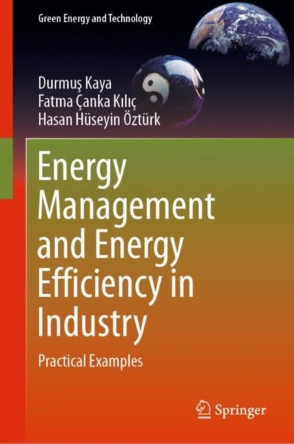 Energy Management and Energy Efficiency in Industry - Practical Examples