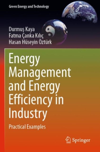 Energy Management and Energy Efficiency in Industry - Practical Examples
