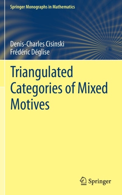Triangulated Categories of Mixed Motives