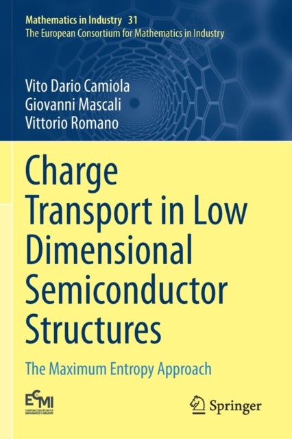 Charge Transport in Low Dimensional Semiconductor Structures - The Maximum Entropy Approach