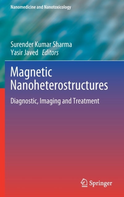 Magnetic Nanoheterostructures