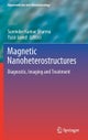Magnetic Nanoheterostructures