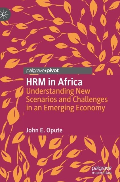 HRM in Africa - Understanding New Scenarios and Challenges in an Emerging Economy
