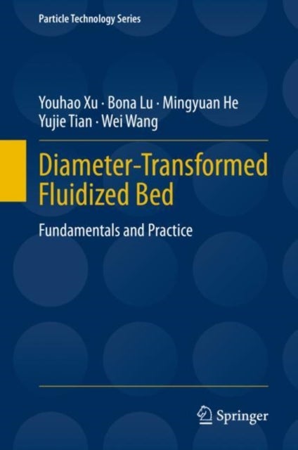 Diameter-Transformed Fluidized Bed - Fundamentals and Practice