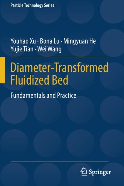Diameter-Transformed Fluidized Bed - Fundamentals and Practice