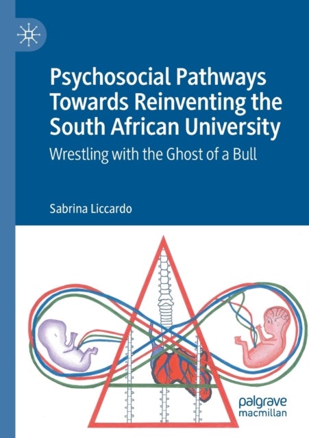Psychosocial Pathways Towards Reinventing the South African University - Wrestling with the Ghost of a Bull