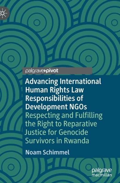 Advancing International Human Rights Law Responsibilities of Development NGOs - Respecting and Fulfilling the Right to Reparative Justice for Genocide Survivors in Rwanda