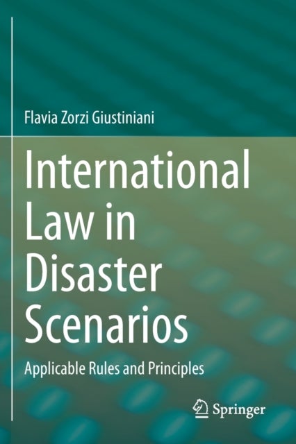 International Law in Disaster Scenarios - Applicable Rules and Principles