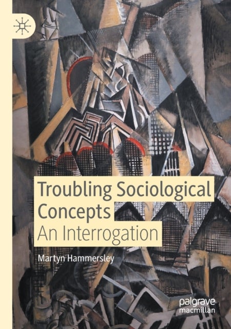 Troubling Sociological Concepts - An Interrogation