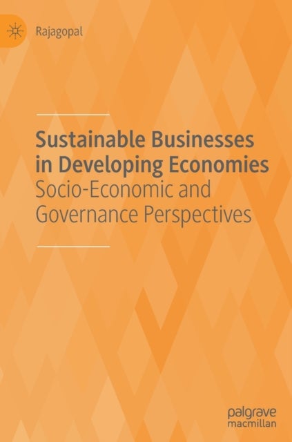 Sustainable Businesses in Developing Economies - Socio-Economic and Governance Perspectives