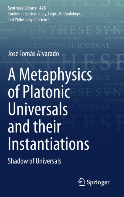 A Metaphysics of Platonic Universals and their Instantiations - Shadow of Universals