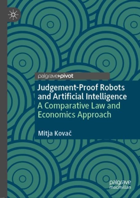 Judgement-Proof Robots and Artificial Intelligence - A Comparative Law and Economics Approach