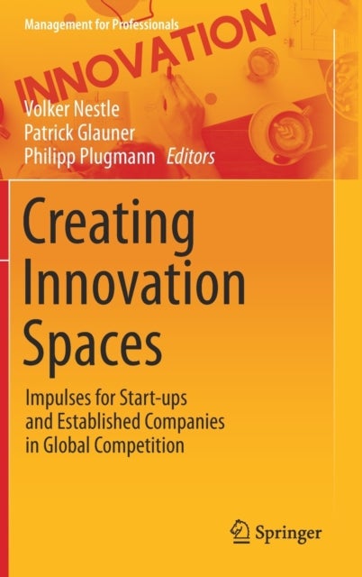 Creating Innovation Spaces - Impulses for Start-ups and Established Companies in Global Competition