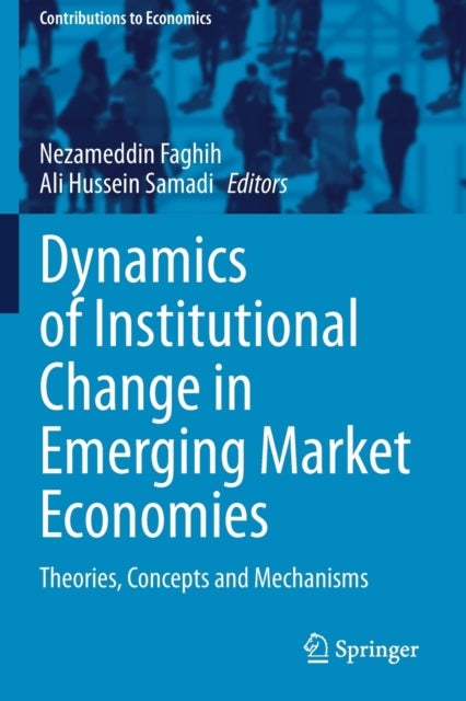 Dynamics of Institutional Change in Emerging Market Economies - Theories, Concepts and Mechanisms
