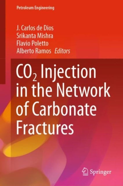 CO2 Injection in the Network of Carbonate Fractures