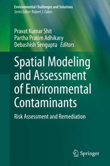 Spatial Modeling and Assessment of Environmental Contaminants - Risk Assessment and Remediation