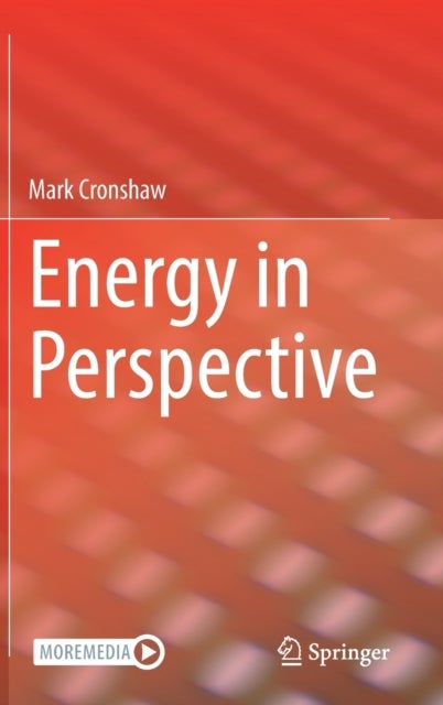 Energy in Perspective