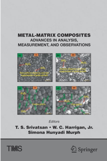 Metal-Matrix Composites - Advances in Analysis, Measurement, and Observations