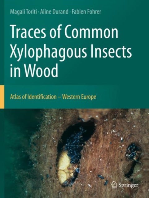 Traces of Common Xylophagous Insects in Wood - Atlas of Identification - Western Europe