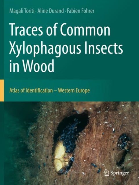 Traces of Common Xylophagous Insects in Wood - Atlas of Identification - Western Europe