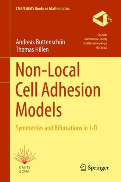 Non-Local Cell Adhesion Models - Symmetries and Bifurcations in 1-D