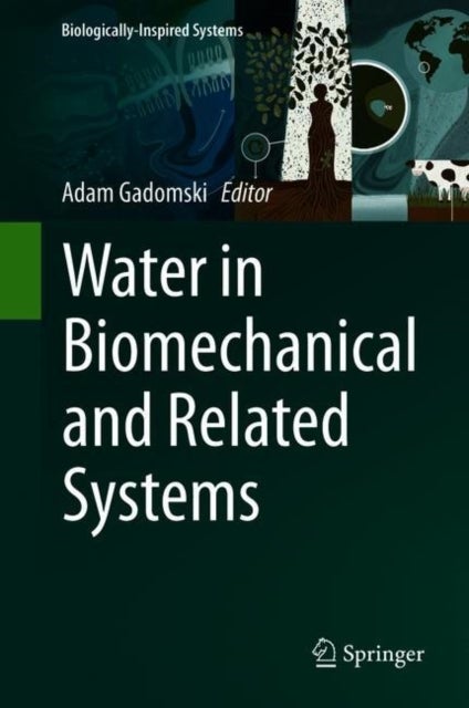 Water in Biomechanical and Related Systems