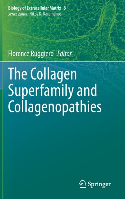The Collagen Superfamily and Collagenopathies