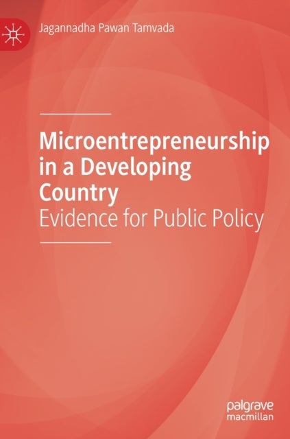 Microentrepreneurship in a Developing Country - Evidence for Public Policy