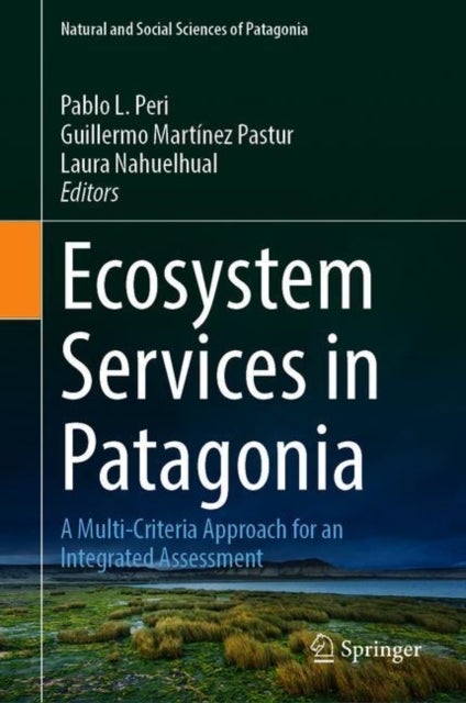 Ecosystem Services in Patagonia - A Multi-Criteria Approach for an Integrated Assessment
