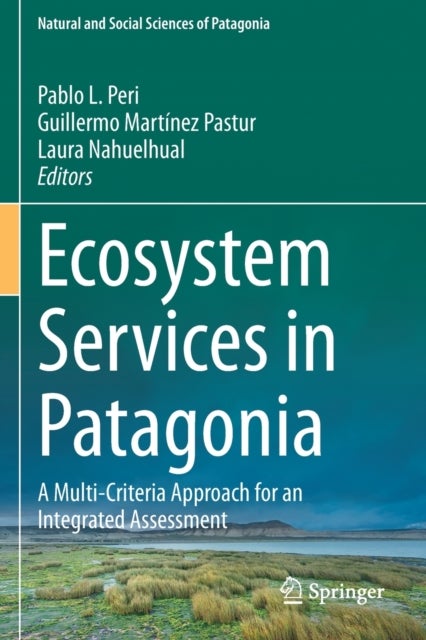 Ecosystem Services in Patagonia - A Multi-Criteria Approach for an Integrated Assessment