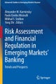 Risk Assessment and Financial Regulation in Emerging Markets' Banking