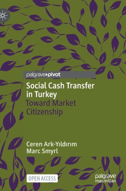 Social Cash Transfer in Turkey - Toward Market Citizenship