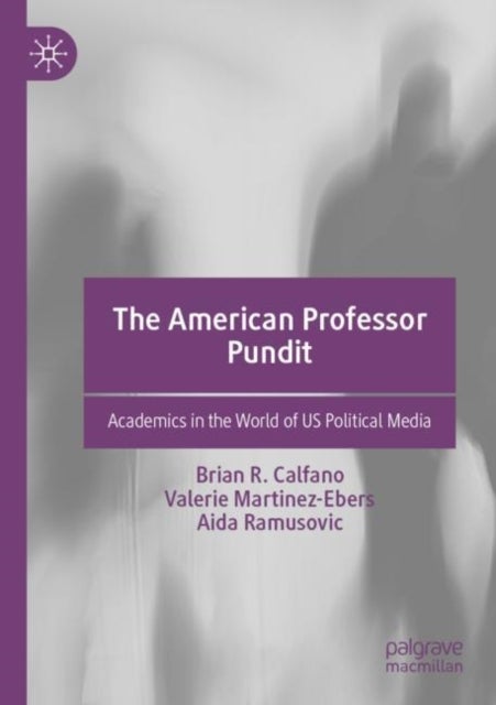 The American Professor Pundit - Academics in the World of US Political Media