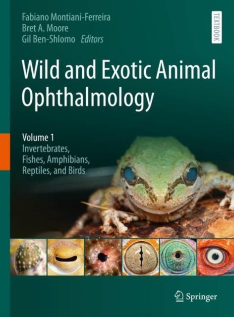 Wild and Exotic Animal Ophthalmology - Volume 1: Invertebrates, Fishes, Amphibians, Reptiles, and Birds