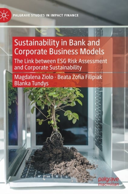 Sustainability in Bank and Corporate Business Models - The Link between ESG Risk Assessment and Corporate Sustainability