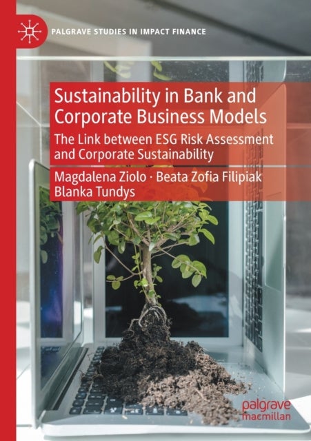 Sustainability in Bank and Corporate Business Models - The Link between ESG Risk Assessment and Corporate Sustainability
