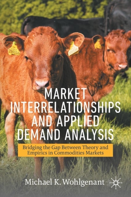 Market Interrelationships and Applied Demand Analysis - Bridging the Gap Between Theory and Empirics in Commodities Markets