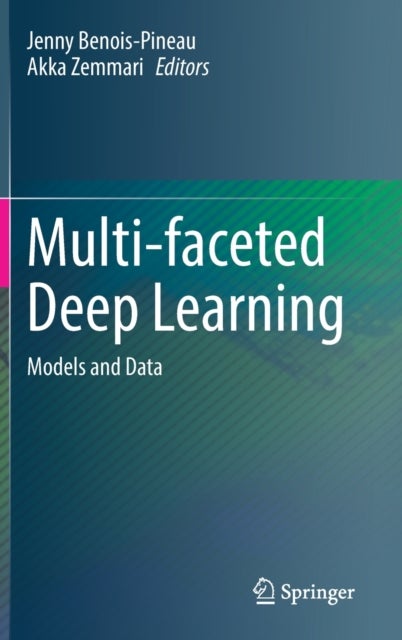 Multi-faceted Deep Learning - Models and Data