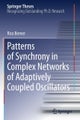 Patterns of Synchrony in Complex Networks of Adaptively Coupled Oscillators