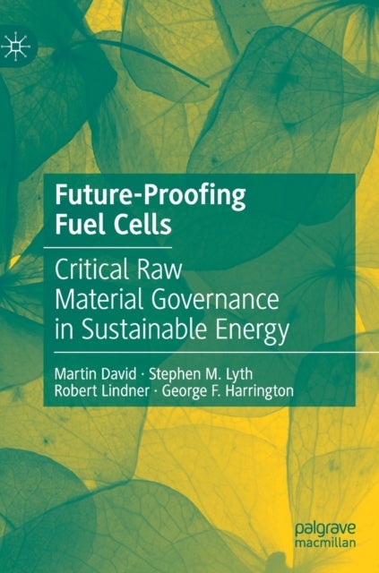 Future-Proofing Fuel Cells - Critical Raw Material Governance in Sustainable Energy