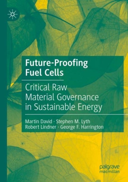 Future-Proofing Fuel Cells - Critical Raw Material Governance in Sustainable Energy