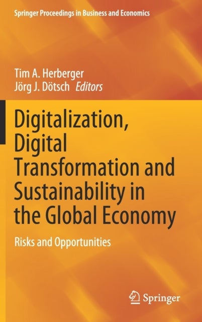 Digitalization, Digital Transformation and Sustainability in the Global Economy - Risks and Opportunities
