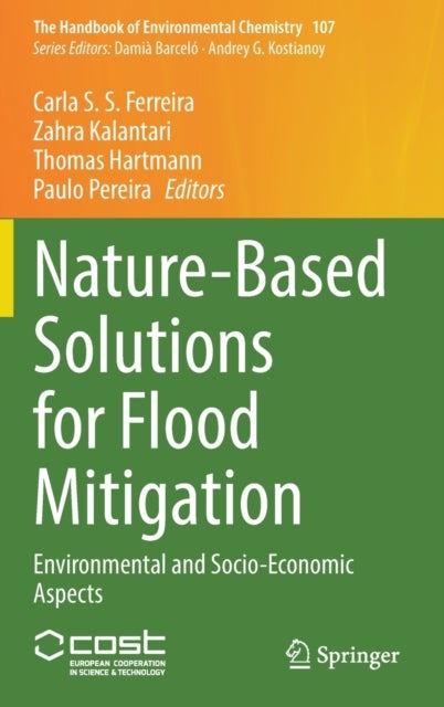 Nature-Based Solutions for Flood Mitigation