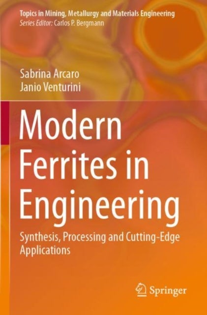 Modern Ferrites in Engineering - Synthesis, Processing and Cutting-Edge Applications