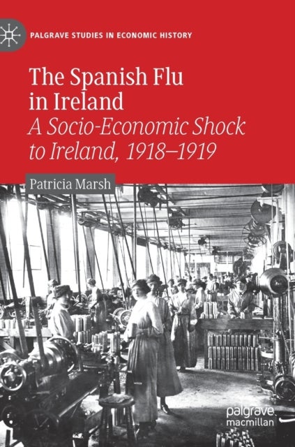 The Spanish Flu in Ireland - A Socio-Economic Shock to Ireland, 1918–1919