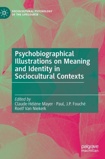Psychobiographical Illustrations on Meaning and Identity in Sociocultural Contexts