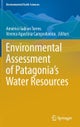 Environmental Assessment of Patagonia's Water Resources